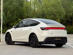 Tesla Model Y Rear-Wheel Drive - ფოტო 6