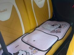 Wuling Hongguang MINIEV 2021 Macaron Sandwich Edition 170km Ternary Lithium - ფოტო 4