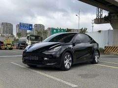 Tesla Model Y Rear-Wheel Drive - ფოტო 1