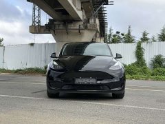 Tesla Model Y Rear-Wheel Drive - ფოტო 2