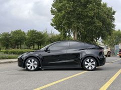Tesla Model Y Rear-Wheel Drive - ფოტო 3