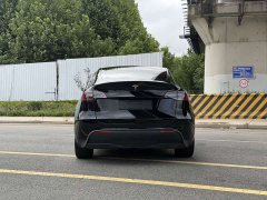 Tesla Model Y Rear-Wheel Drive - ფოტო 8