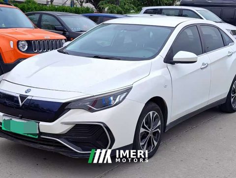 2021 Nissan Venucia D60EV Edition - ავტომობილი ჩინეთიდან