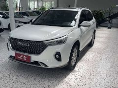 Haval M6 PLUS 1.5T DCT Luxury Smart Connected Edition - ფოტო 1