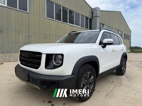 2021 Great Wall Dargo 1.5T DCT2WD Edition - ავტომობილი ჩინეთიდან