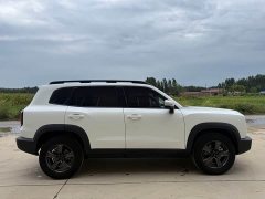 Great Wall Dargo 1.5T DCT2WD Edition - ფოტო 8