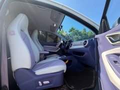 Chery Ant 30.6kWh - ფოტო 7
