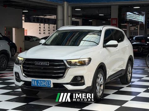 2022 Haval H6 2021 National Trend 1.5T Automatic Champion Edition - ავტომობილი ჩინეთიდან