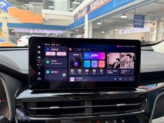 Haval H6 2021 National Trend 1.5T Automatic Champion Edition - ფოტო 7
