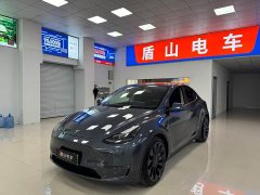 Tesla Model Y Performance All-Wheel Drive - ფოტო 1