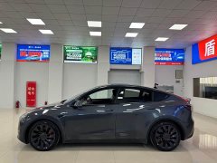 Tesla Model Y Performance All-Wheel Drive - ფოტო 3