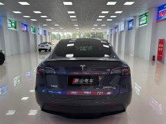 Tesla Model Y Performance All-Wheel Drive - ფოტო 5