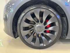 Tesla Model Y Performance All-Wheel Drive - ფოტო 9
