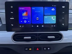 Geely Panda 210km Panda Kart - ფოტო 9