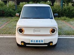 Geely Panda mini 200km Edition - ფოტო 2