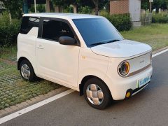 Geely Panda mini 200km Edition - ფოტო 3