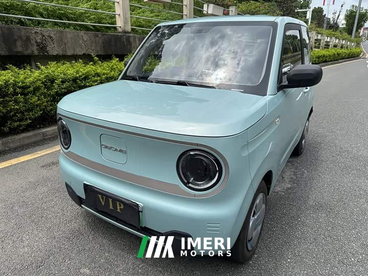 Geely Panda Mini 200km Endurance Edition