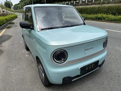 Geely Panda Mini 200km Endurance Edition - ფოტო 3