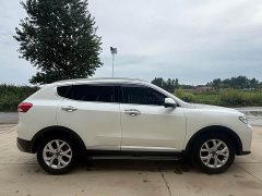 Haval H6 1.5T Automatic Urban Edition - ფოტო 8