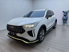 Haval Chitu Jingxiang Edition 1.5T Purple Copper Rabbit - ფოტო 1