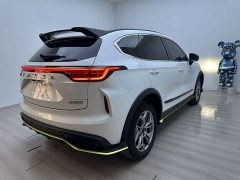 Haval Chitu Jingxiang Edition 1.5T Purple Copper Rabbit - ფოტო 3
