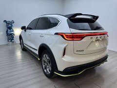 Haval Chitu Jingxiang Edition 1.5T Purple Copper Rabbit - ფოტო 5