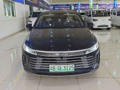 BYD Destroyer 05 Champion Edition DM-i 55KM Luxury - ფოტო 3