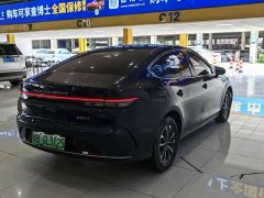 BYD Destroyer 05 Champion Edition DM-i 55KM Luxury - ფოტო 4