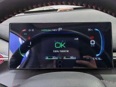 BYD Destroyer 05 Champion Edition DM-i 55KM Luxury - ფოტო 9