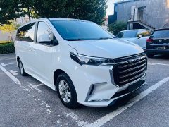 Maxus G20 ES 2.0T Gasoline Automatic Value Edition - ფოტო 3