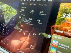 Li Auto L9 2022 Max - ფოტო 14