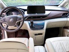 Buick GL8 Land Executive Cabin 652T Luxury - ფოტო 10