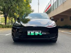 Tesla Model Y Rear-Wheel Drive - ფოტო 1