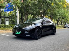 Tesla Model Y Rear-Wheel Drive - ფოტო 2