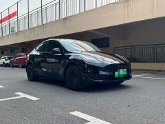 Tesla Model Y Rear-Wheel Drive - ფოტო 3