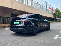 Tesla Model Y Rear-Wheel Drive - ფოტო 5