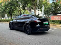 Tesla Model Y Rear-Wheel Drive - ფოტო 6