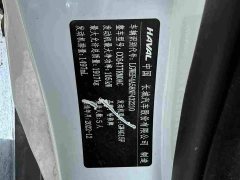 Haval M6 PLUS 1.5T DCT Luxury Smart Connected Edition - ფოტო 13