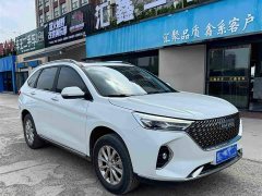 Haval M6 PLUS 1.5T DCT Luxury Smart Connected Edition - ფოტო 3
