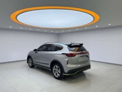 Haval Chitu Jingxiang Edition 1.5T Purple Copper Rabbit - ფოტო 4