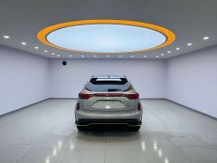 Haval Chitu Jingxiang Edition 1.5T Purple Copper Rabbit - ფოტო 5