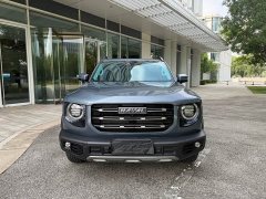 Great Wall Haval Big Dog Dachshund 1.5T DCT Two-Wheel Drive Border Collie Edition - ფოტო 2