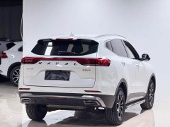 Haval H6 National Trend Edition 1.5T Automatic Urban Version - ფოტო 5