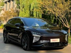 HiPhi X 2021 Founder Edition 6-Seater - ფოტო 3