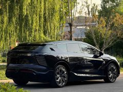 HiPhi X 2021 Founder Edition 6-Seater - ფოტო 9