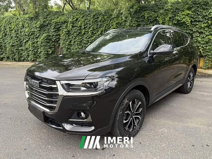 Haval H6 2021 National Trend Edition 1.5T Automatic Urban Version - ავტომობილი ჩინეთიდან