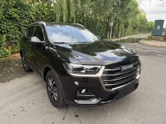 Haval H6 2021 National Trend Edition 1.5T Automatic Urban Version - ფოტო 3