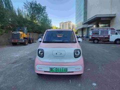 FAW Besturn Xiaoma 222km Lightning Edition - ფოტო 2