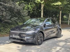 Tesla Model Y Rear-Wheel Drive Launch Edition - ფოტო 1