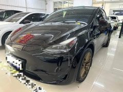 Tesla Model Y Rear-Wheel Drive - ფოტო 1